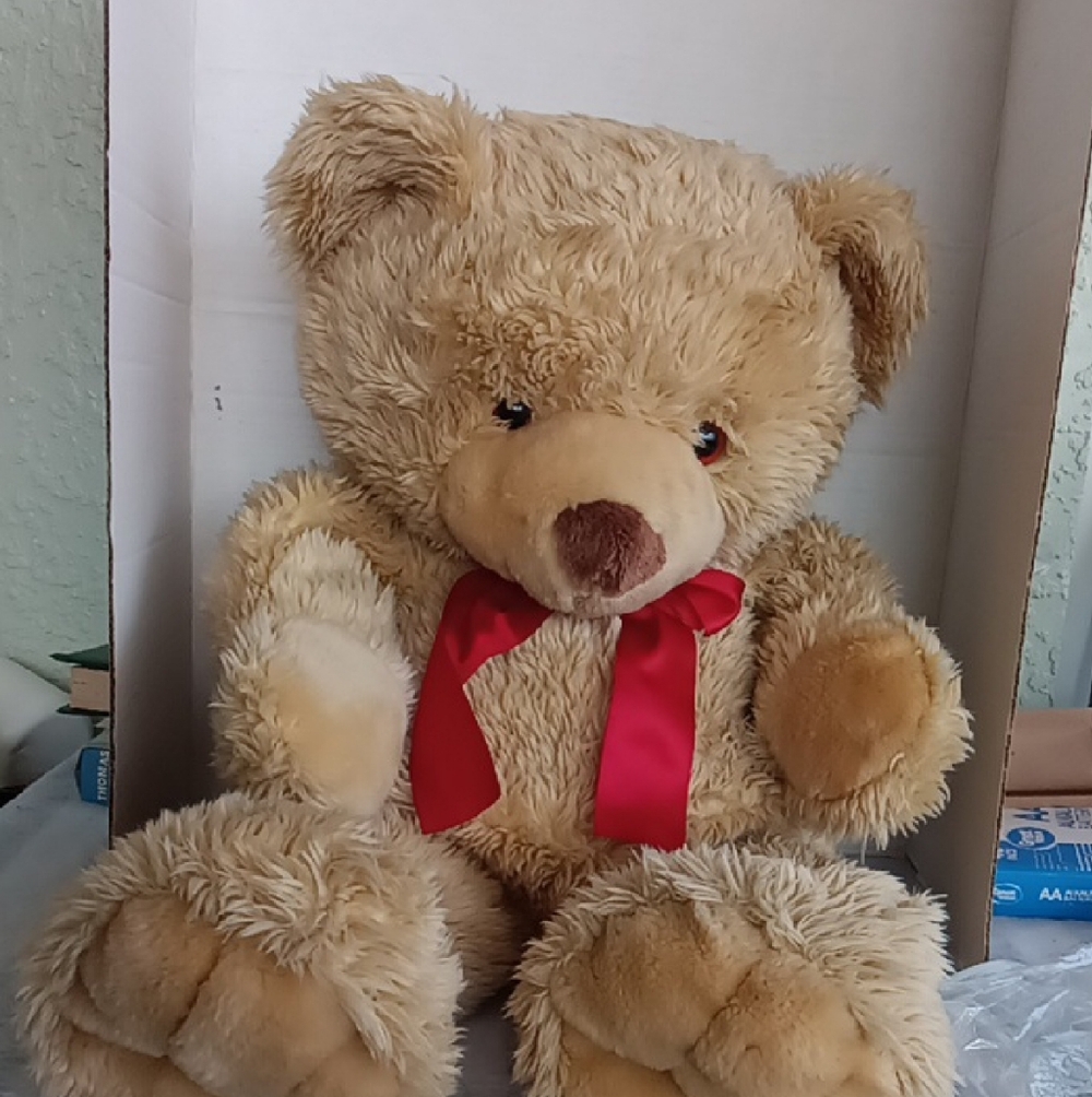INTENTIONALLY BLANK Tan Teddy Bear with Red Bow